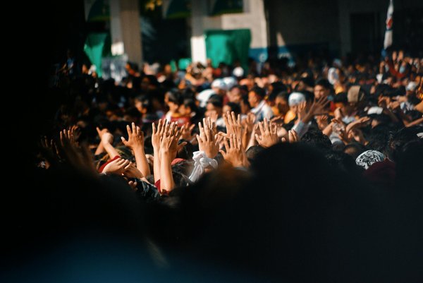 Explore les dernières tendances avec pauline b : élégance accessible.