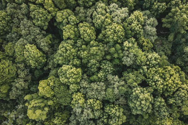 Découvrez les meilleurs iphones reconditionnés sur batterie-telephone.fr