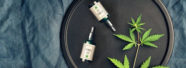 Fleurs de CBD : comprendre les modes de culture essentiels